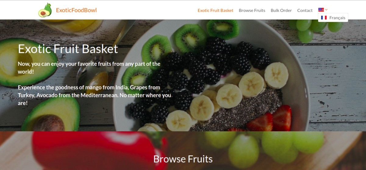 multilingual website multilingual website